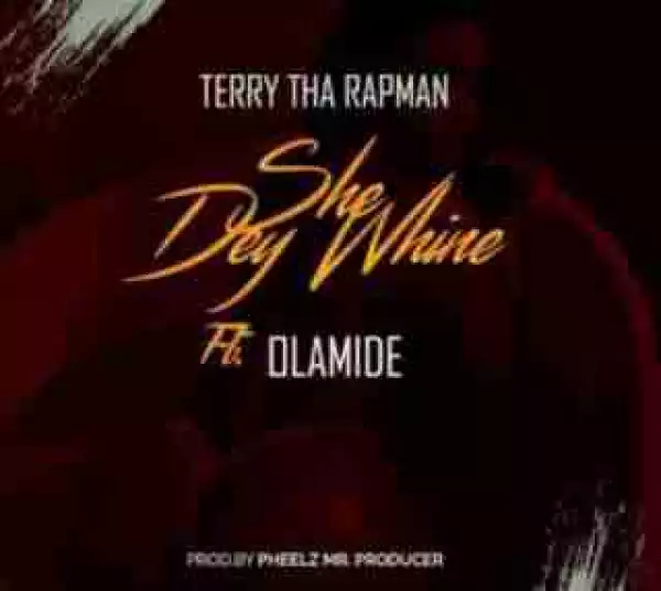 Terry Tha Rapman - Obi (She Dey Whine) ft. Olamide